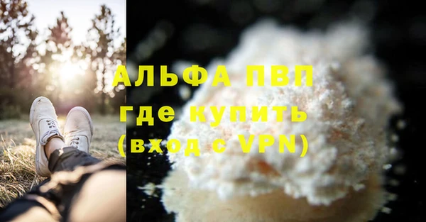 стафф Алексин