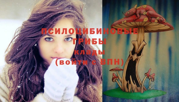 стафф Алексин