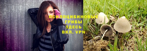 прущий лед Алзамай